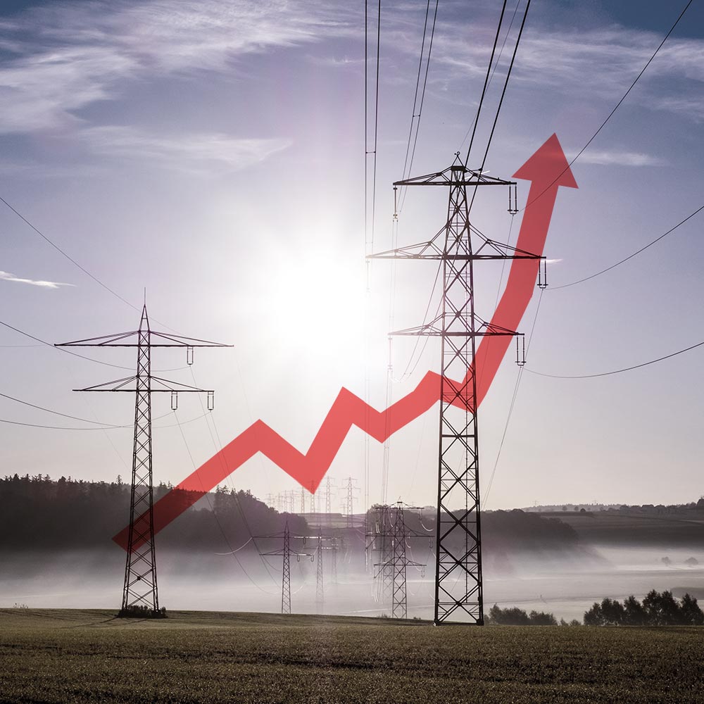 Elpriserna visar varför man behöver marginaler i sin ekonomi